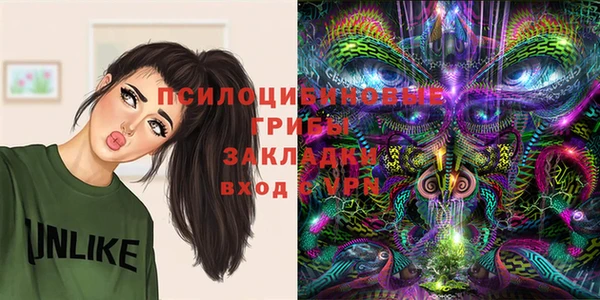 гашик Аркадак