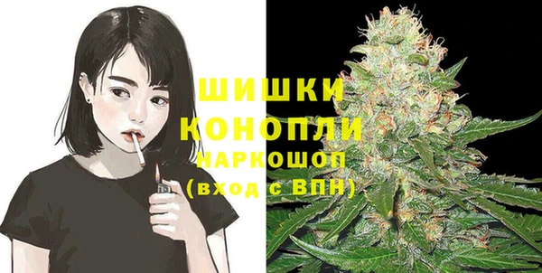гашик Аркадак