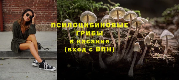 гашик Аркадак