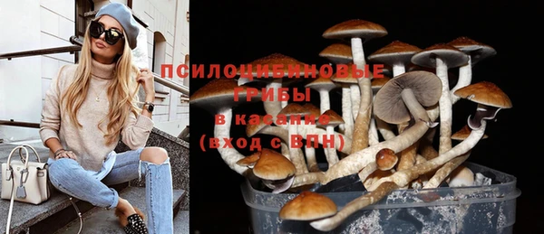 экстази Арсеньев