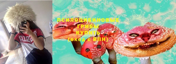 экстази Арсеньев