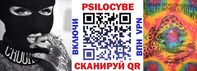 дарнет шоп  Рыбное  Галлюциногенные грибы прущие грибы 